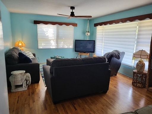 Furnished Finder property 287212_1 photo 5