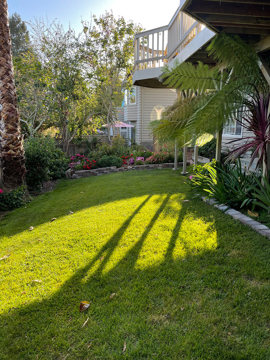 Furnished Finder property 287353_1 photo 6