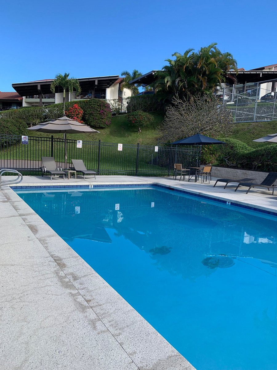 Furnished Finder property 287414_1 photo 22