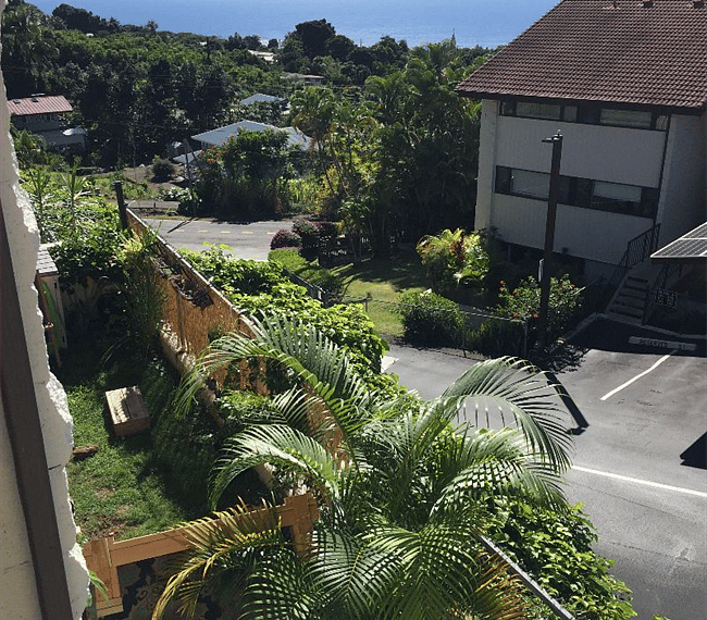 View off the lanai.