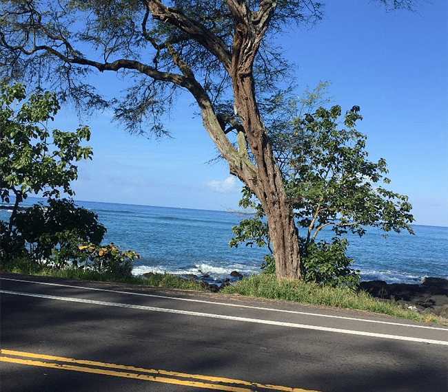 Beautiful ocean view 