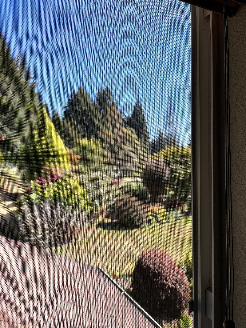 Furnished Finder property 287418_1 photo 9