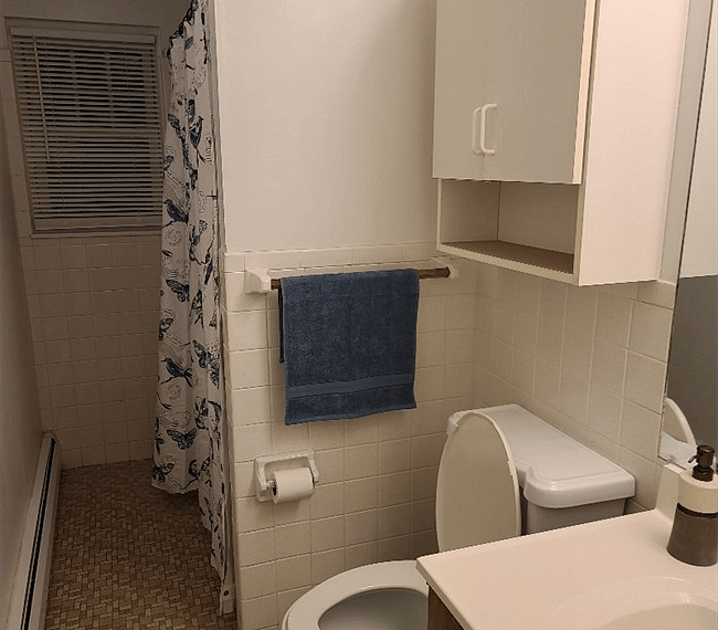 Furnished Finder property 287438_1 photo 13