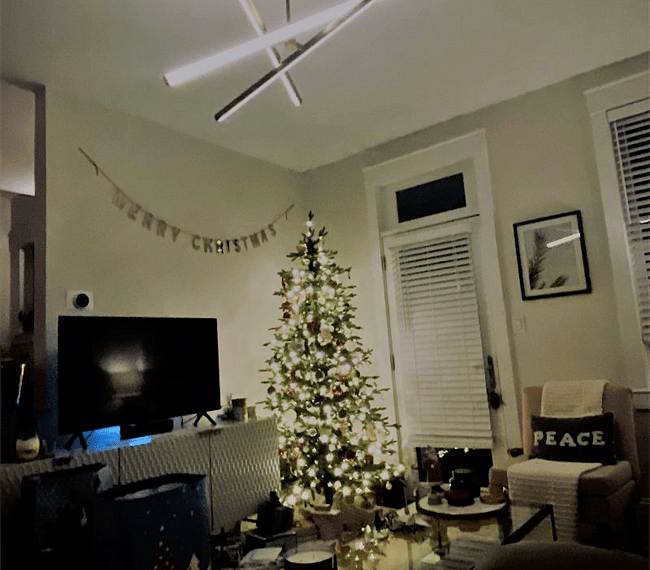 Living room during the holidays!