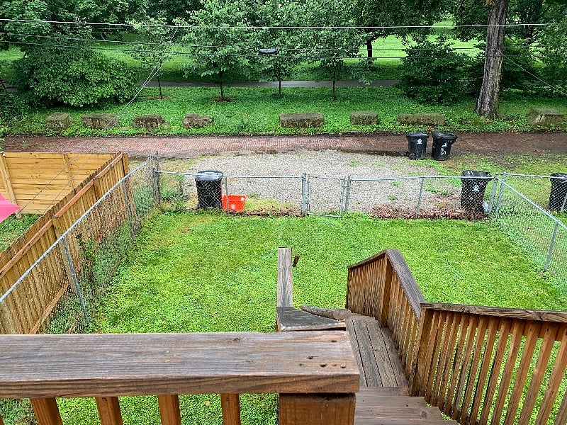 Back Yard Area