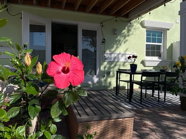 Furnished Finder property 287667_1 photo 23