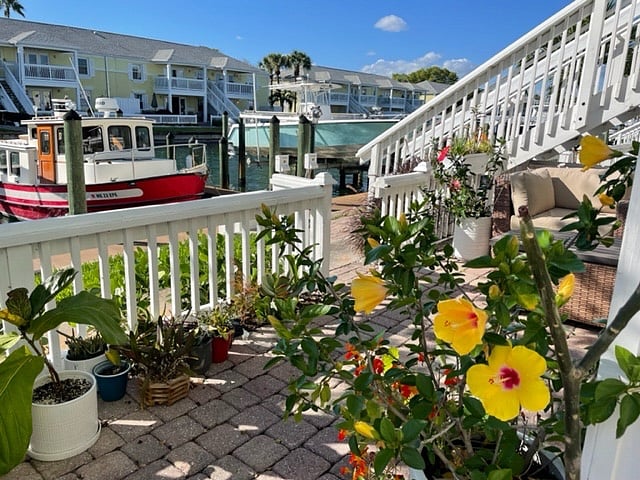Furnished Finder property 287667_1 photo 24