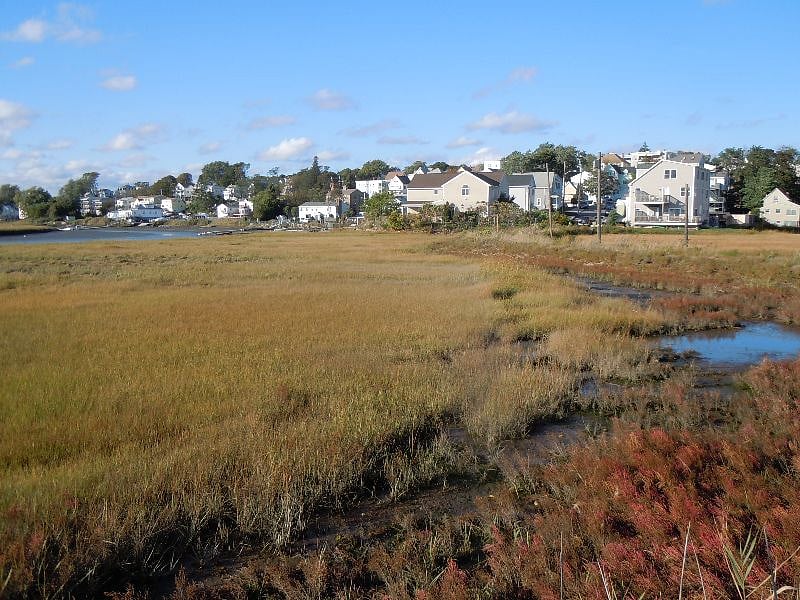 our home in center seen from the marsh at mid-tide 