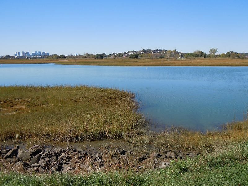 marsh at mid tide 