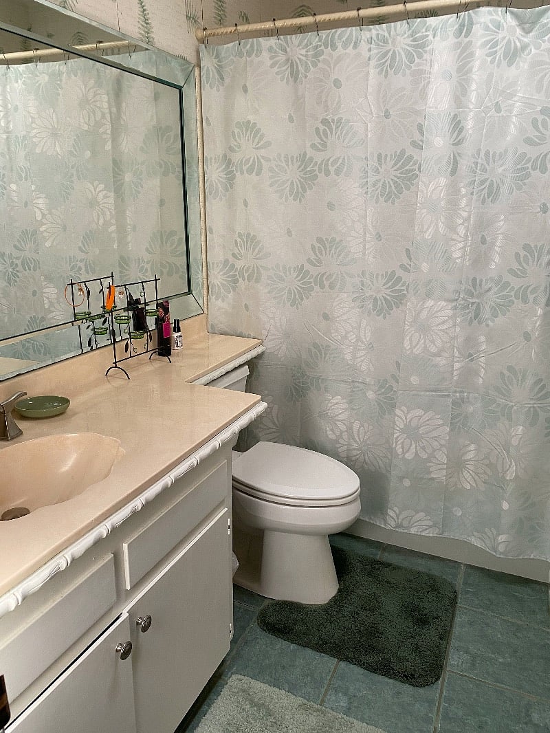 Guest bathroom with full shower and tub.