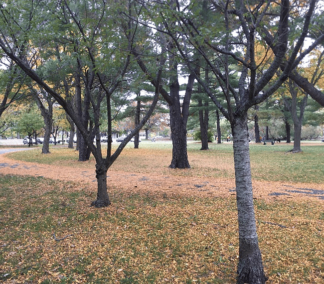 People appreciate the river, park year- round