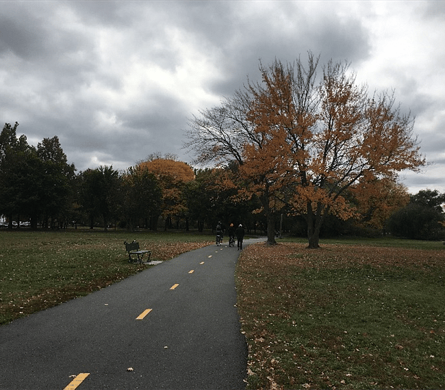 You can ride bike to Boston downtown