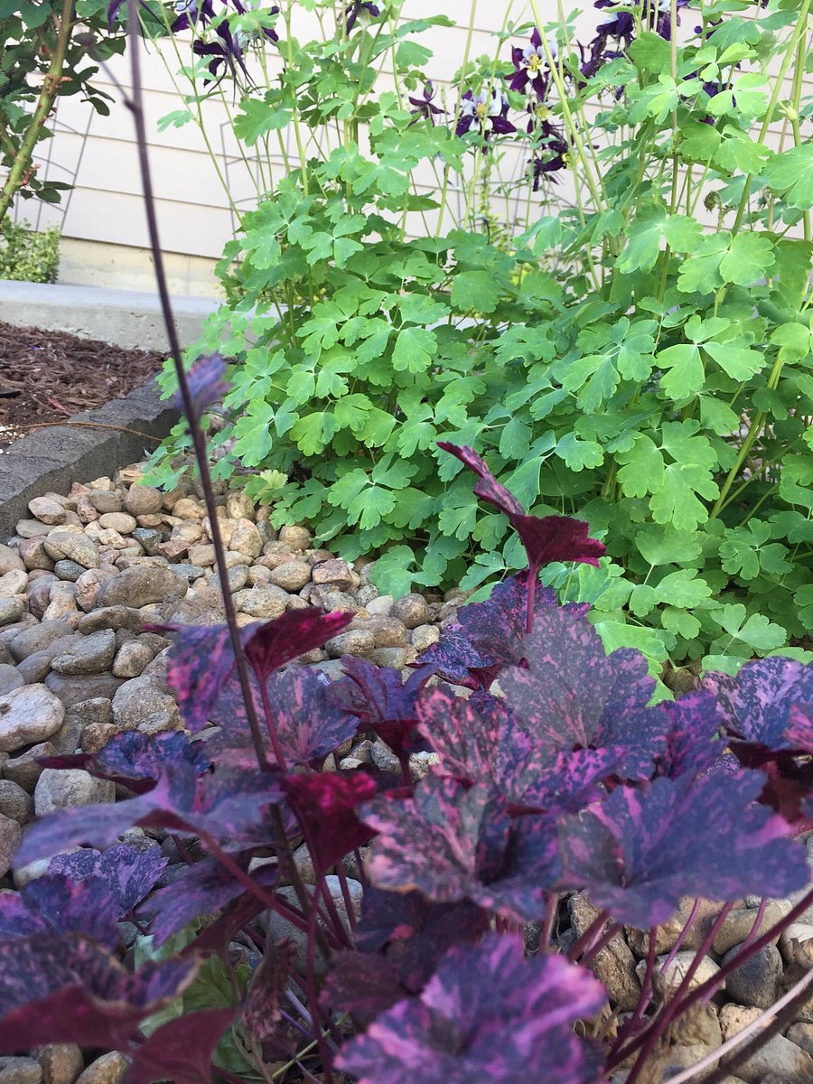 Beautiful landscaping