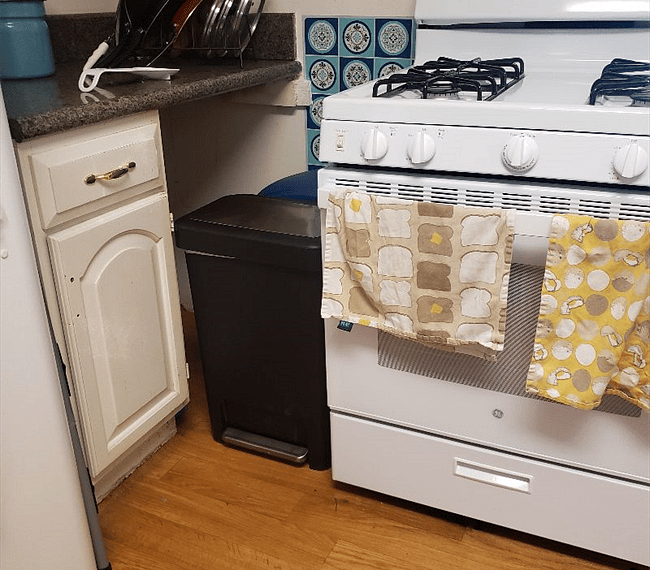 Furnished Finder property 287858_1 photo 16