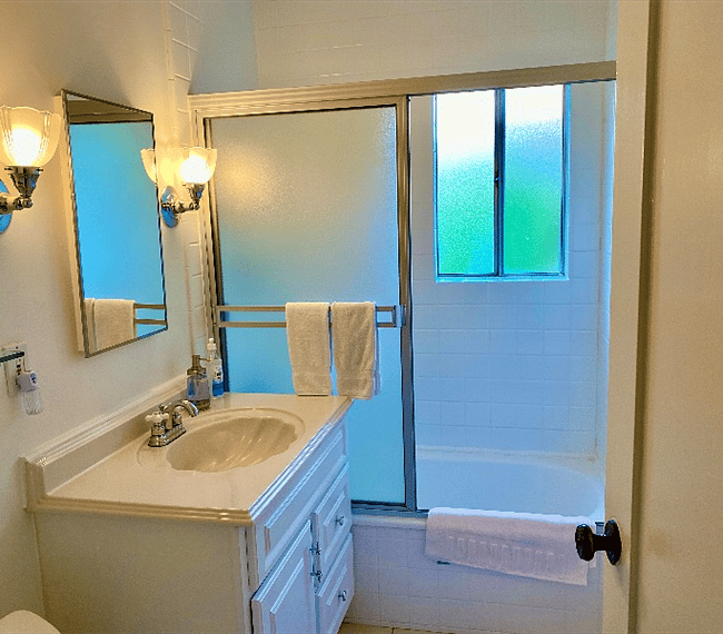 Bathroom sink and shower 