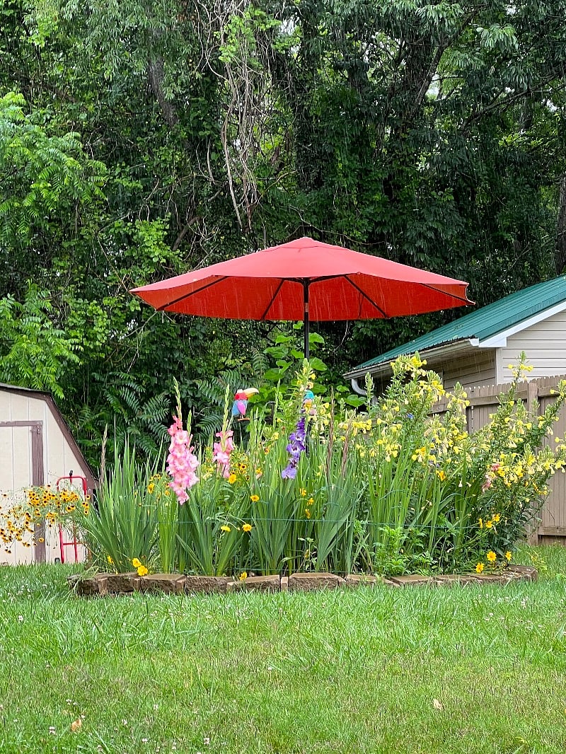 Small deck with umbrella and lounge chair make a perfect spot for reading or birdwatching. 