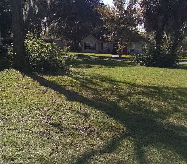 Landscaped backyard