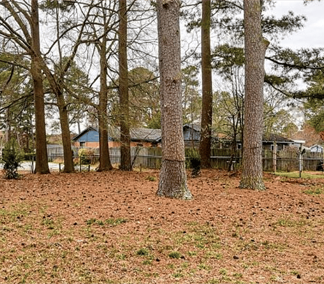 Furnished Finder property 287987_1 photo 23