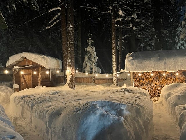 Path to the wood burning sauna and covered wood shed