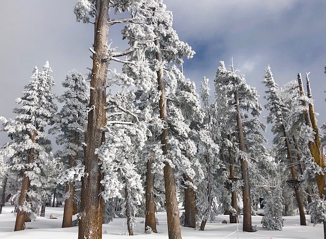 This is Tahoe in the Winter