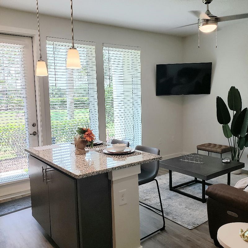Furnished Finder property 288100_3 photo 11