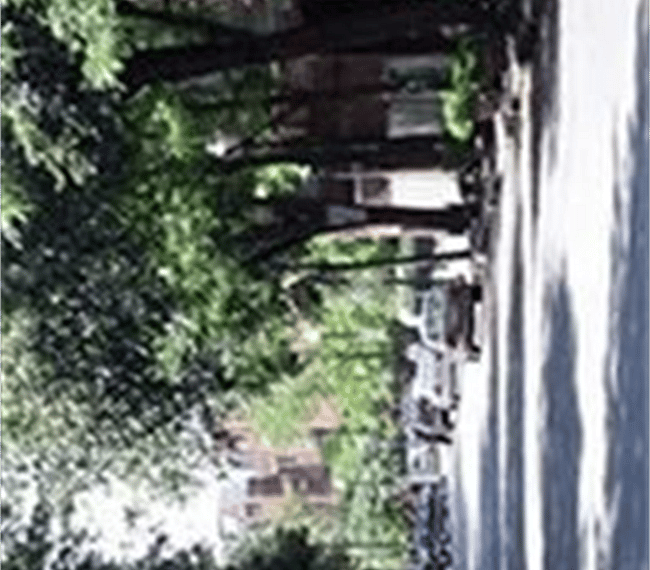 Furnished Finder property 288222_1 photo 12