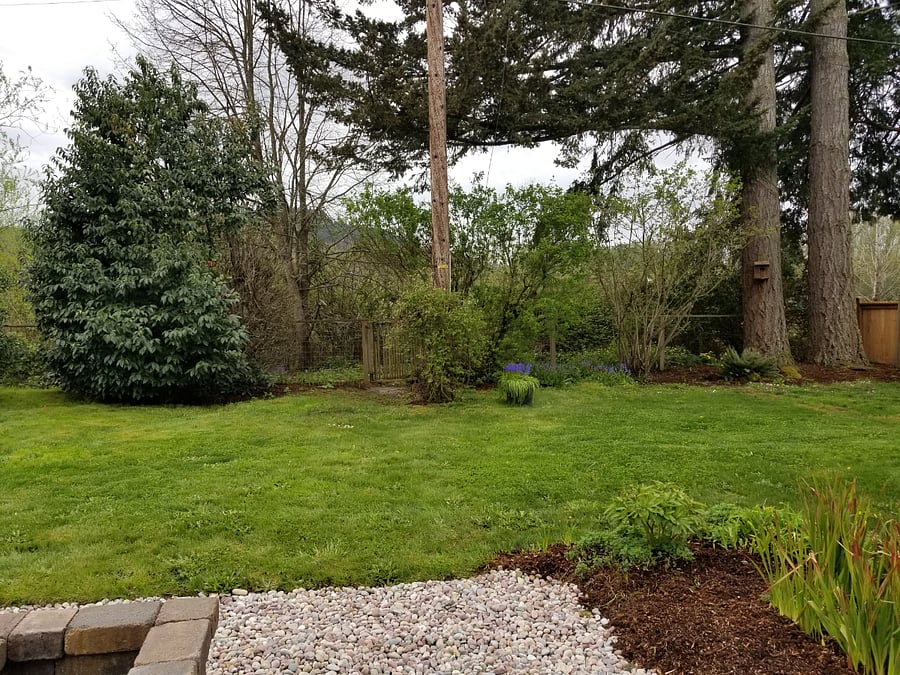 Furnished Finder property 288260_1 photo 12