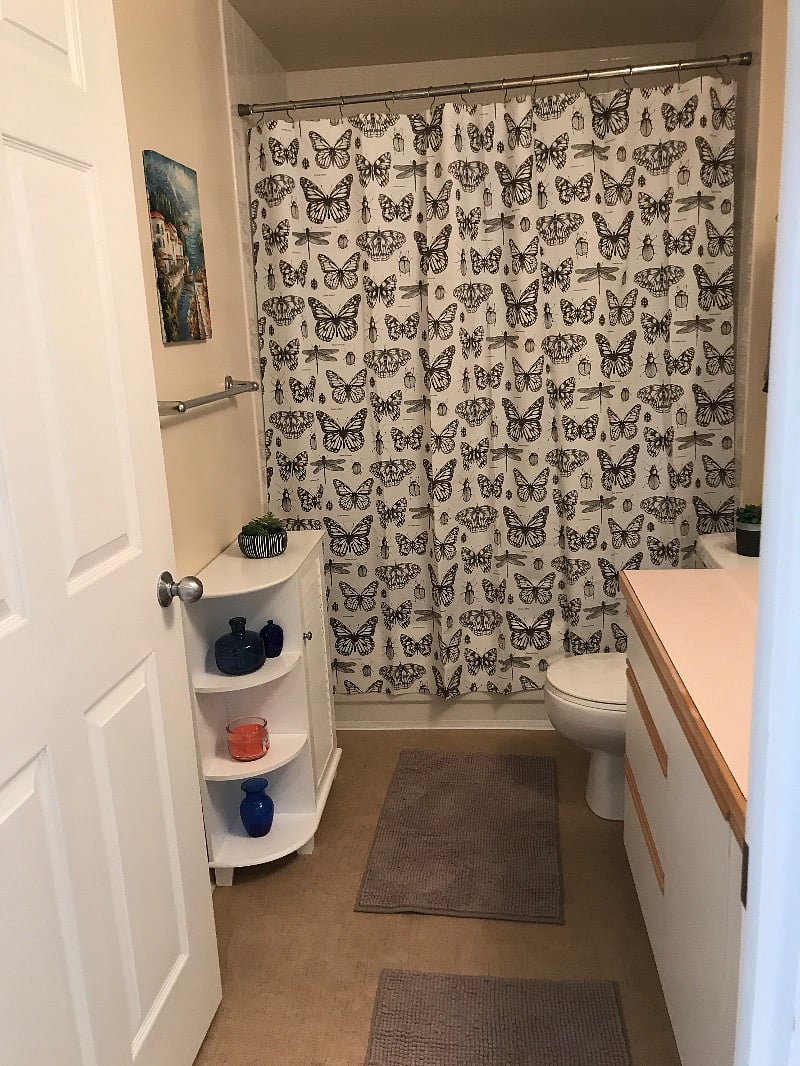 Furnished Finder property 288314_1 photo 7