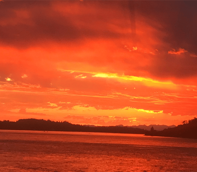 From the deck. 
