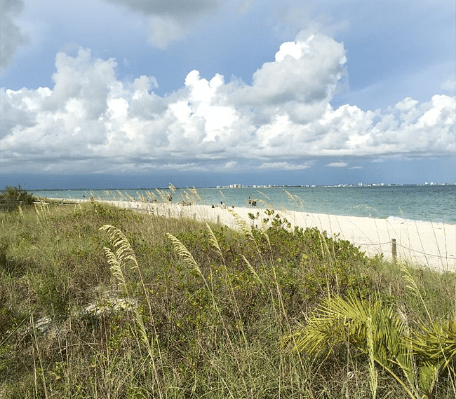 Sanibel Beach