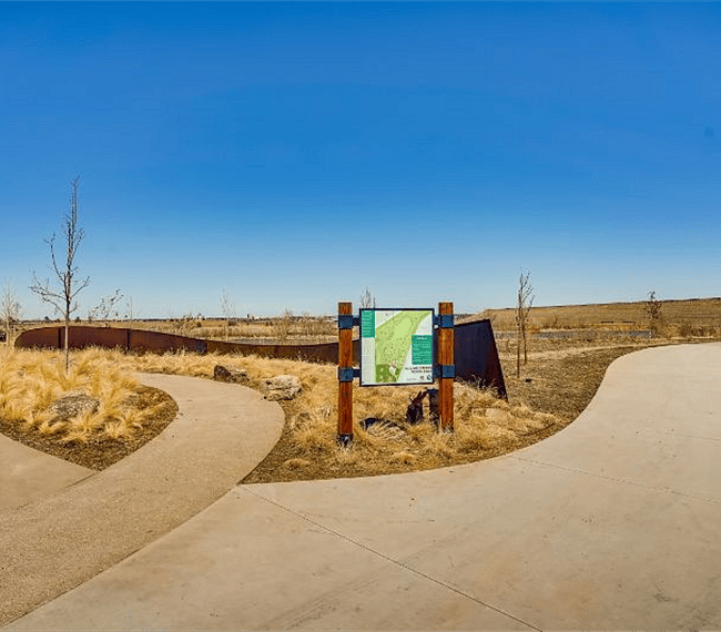 Mountain biking trails
