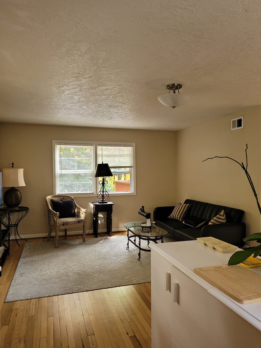 Furnished Finder property 288461_2 photo 19
