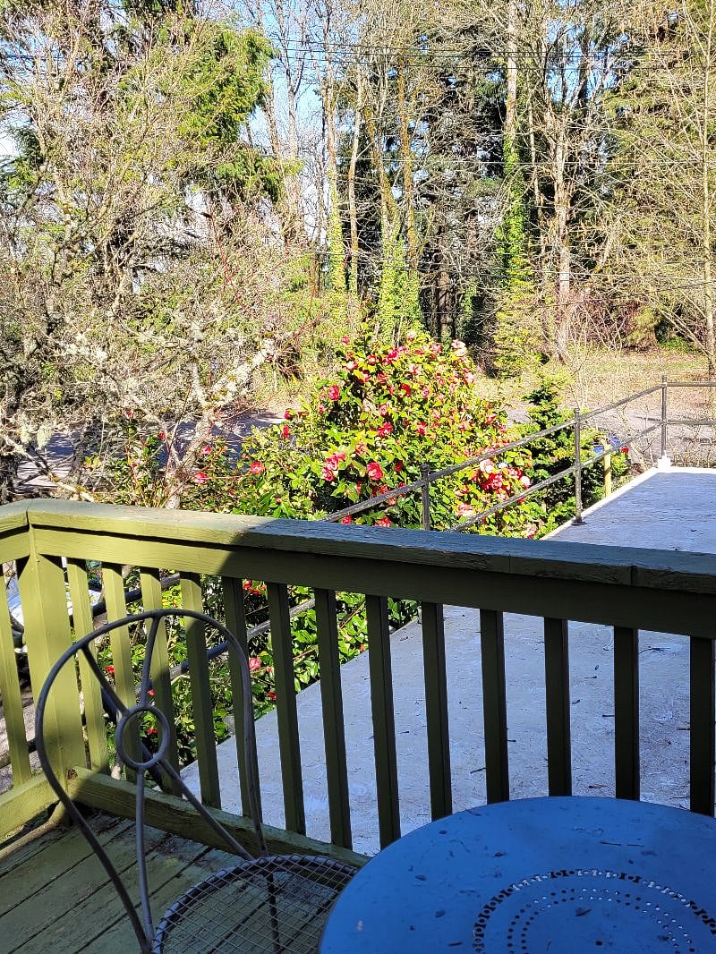 Furnished Finder property 288461_2 photo 11