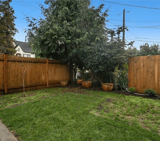 The front yard