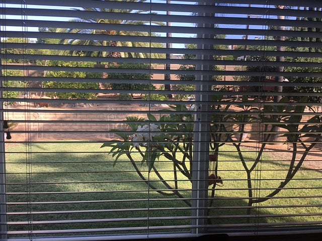 Furnished Finder property 288554_1 photo 13