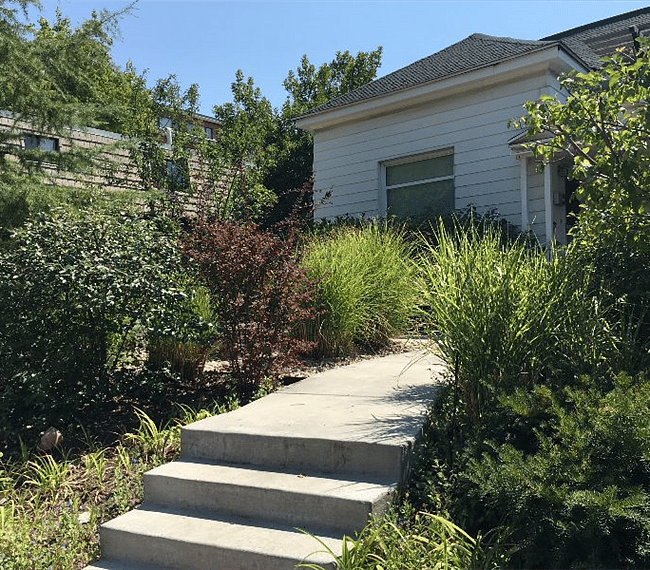 Park-like front yard