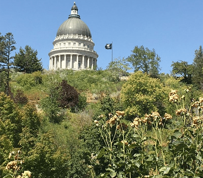 Views of the Capital building