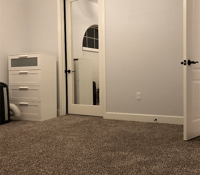 Furnished Finder property 288656_1 photo 13