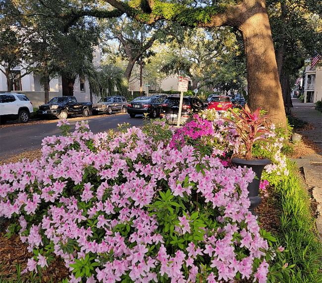 Stroll down Beautiful Jones St
