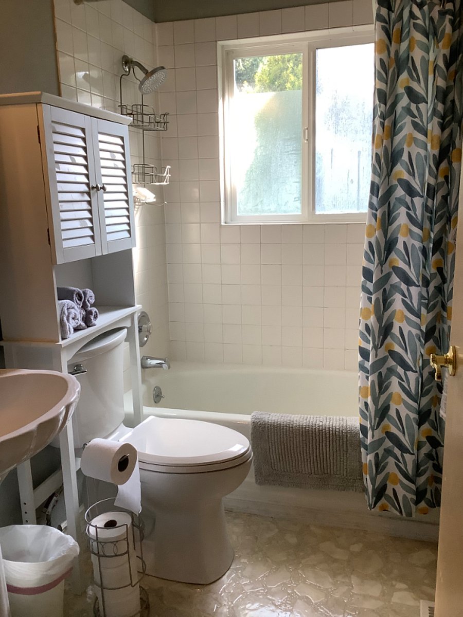 Guest bathroom 
