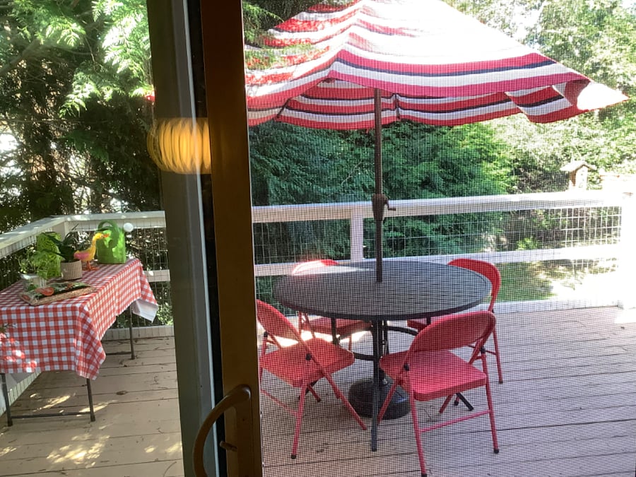 Deck just outside dining room, overlooking wooded double lot. 