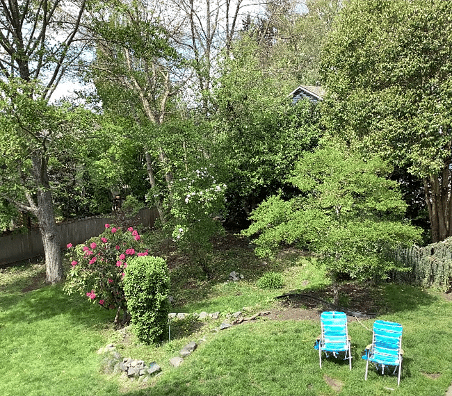 Wooden lot and gardens, back of property