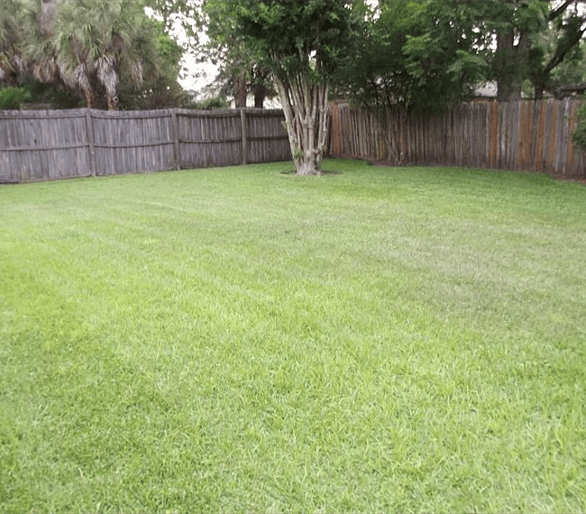 Furnished Finder property 289044_1 photo 10