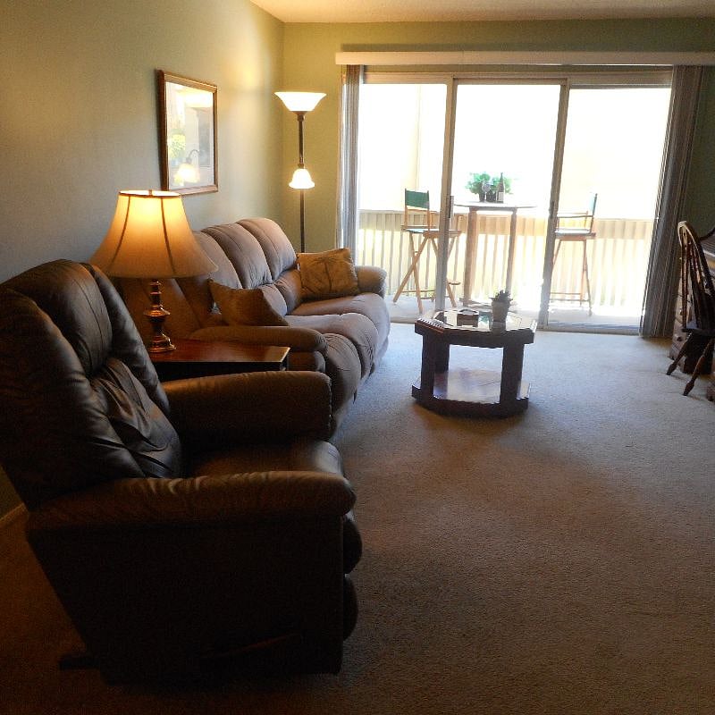 New Lazy Boy recliner and new hide a bed couch.
