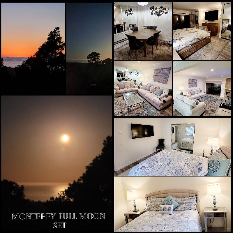 Furnished Finder property 289222_1 photo 13
