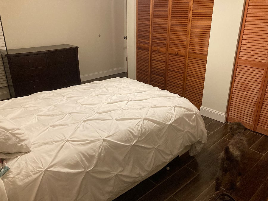 Furnished Finder property 289259_1 photo 24