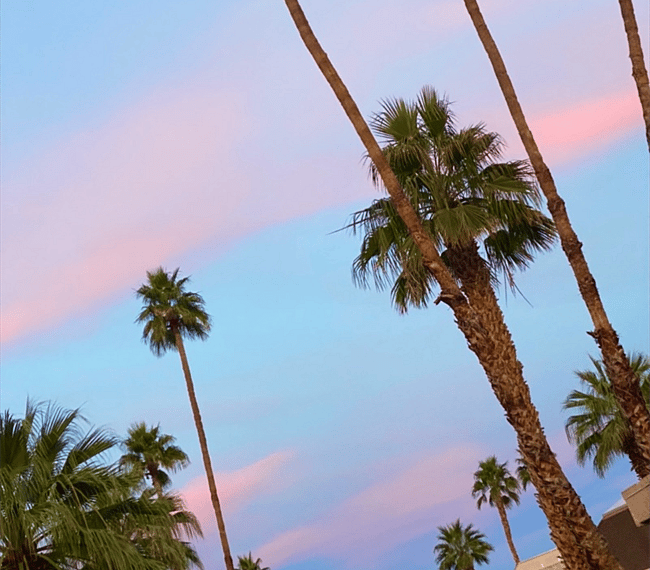 Cotton candy sunsets
