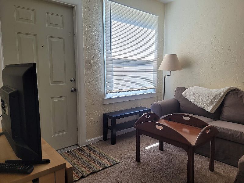 Livingroom showing beautiful natural light, TV, comfy couch and lighting.
