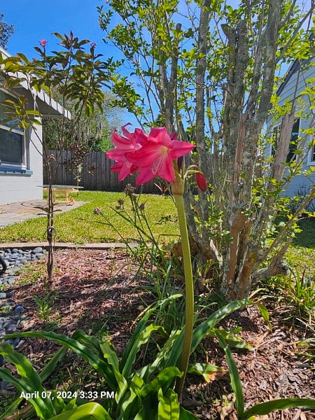 Furnished Finder property 289318_3 photo 18