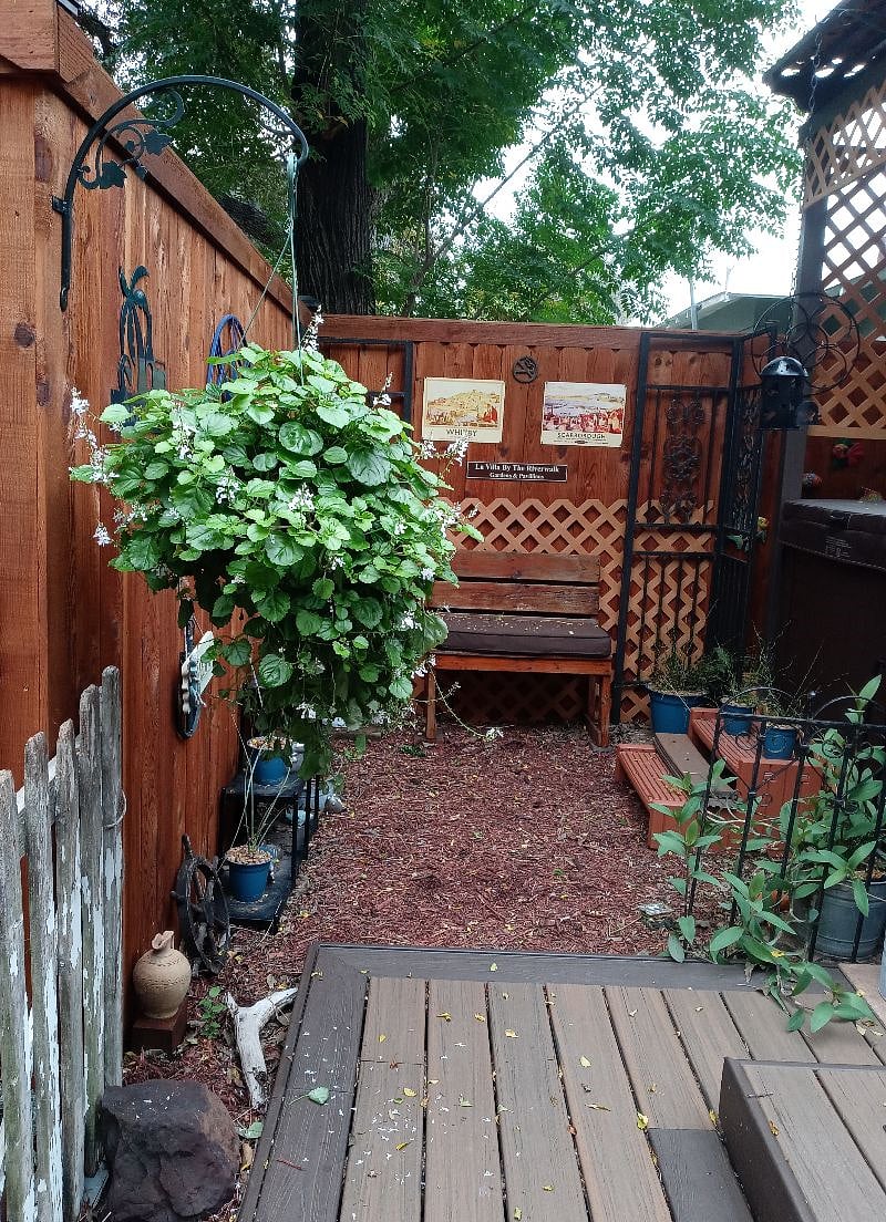 Furnished Finder property 289339_1 photo 43